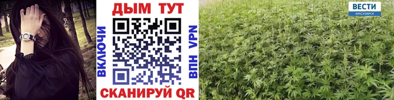 Бошки Шишки тримм  kraken вход  Порхов 
